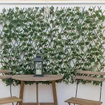 Апартаменты Conil Luz De Abril *